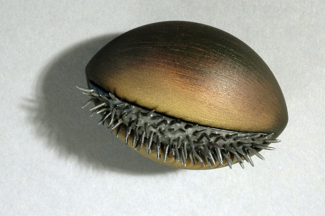 Seed pod group