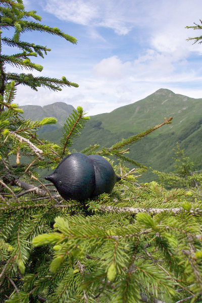 seed pod on a modern sculpture of a star