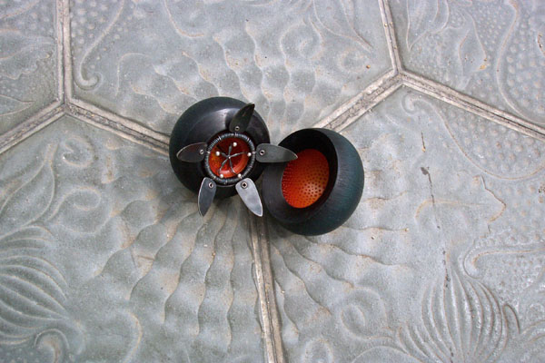 seed pod on a modern sculpture of a star