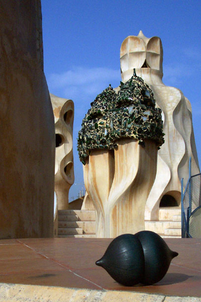 seed pod on a modern sculpture of a star