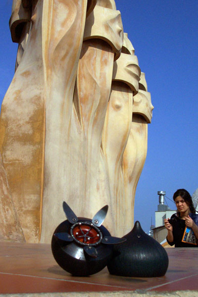 seed pod on a modern sculpture of a star