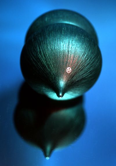 seed pod flying through the air