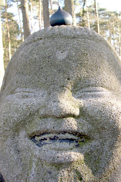 seed pod on a modern sculpture of a star