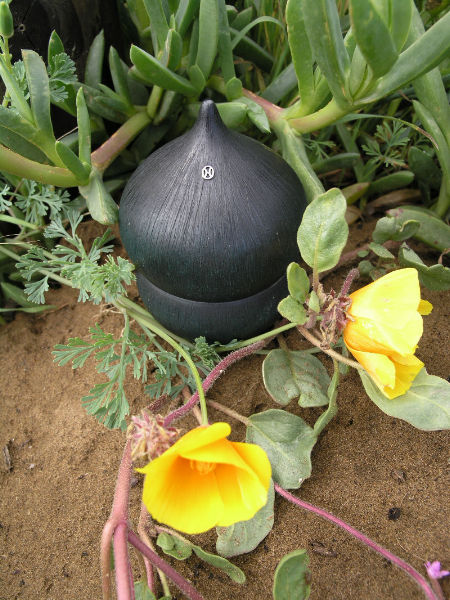 seed pod on a modern sculpture of a star