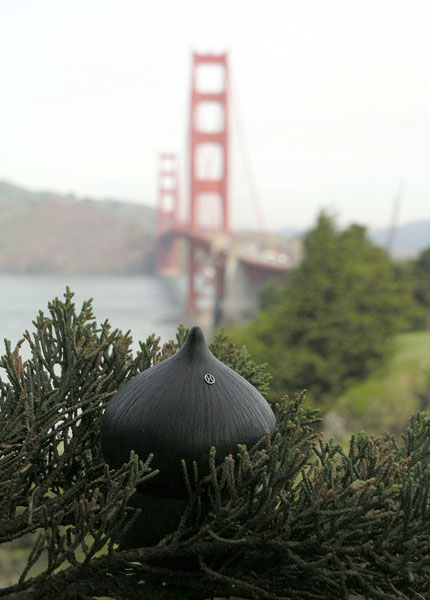 seed pod on a modern sculpture of a star