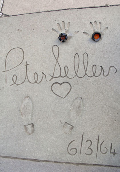 seed pod on film stars' sidewalk
