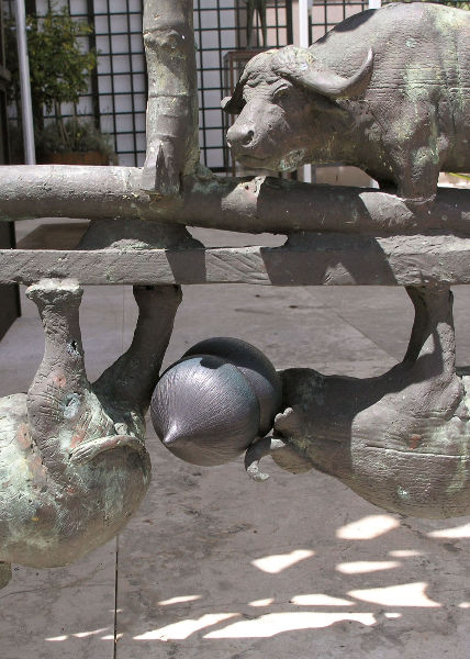 seed pod on a modern sculpture of a star