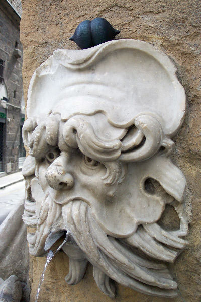 seed pod on a modern sculpture of a star