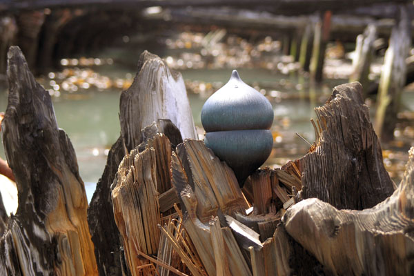 seed pod on a modern sculpture of a star