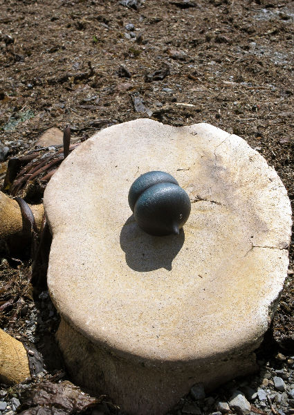 seed pod on a modern sculpture of a star