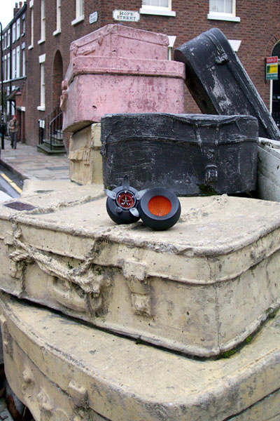 seed pod on a modern sculpture of a star