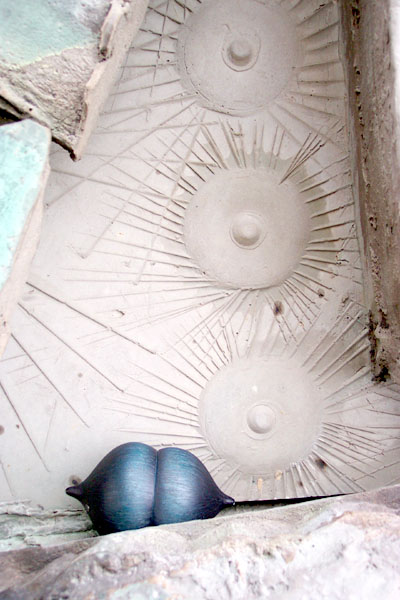 seed pod on a modern sculpture of a star