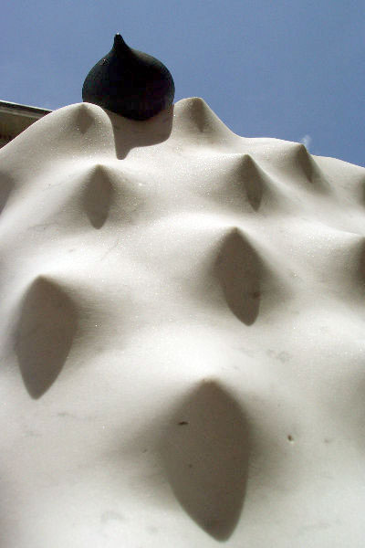 seed pod on a modern sculpture of a star