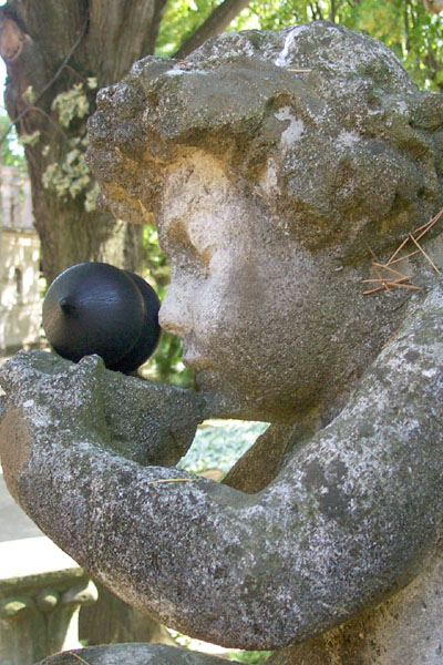 seed pod on a modern sculpture of a star