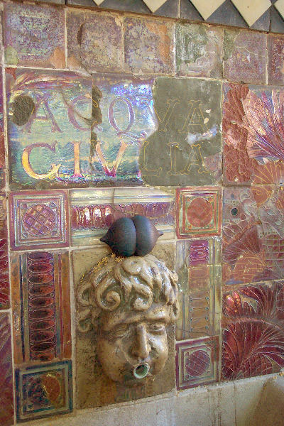 seed pod on a modern sculpture of a star