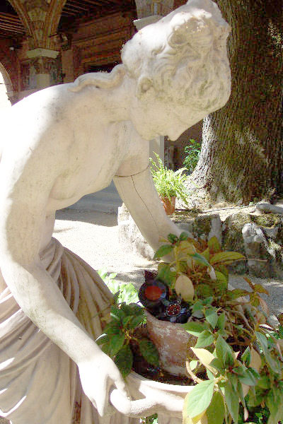 seed pod on a modern sculpture of a star