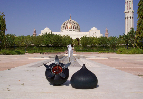 seed pod on a modern sculpture of a star