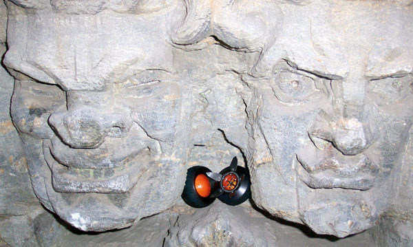 seed pod between two carved stone faces