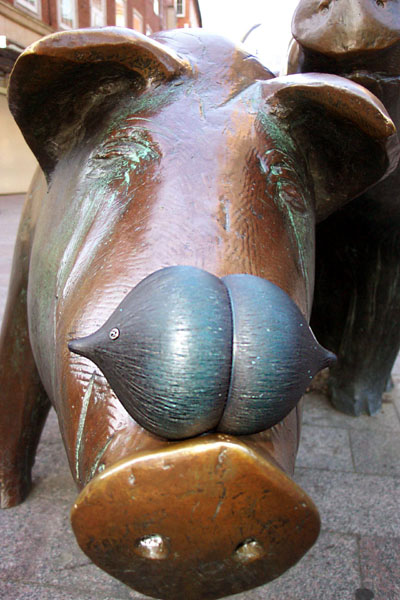 seed pod on the nose of a bronze pig