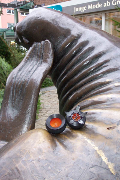 seed pod on a modern sculpture of a star