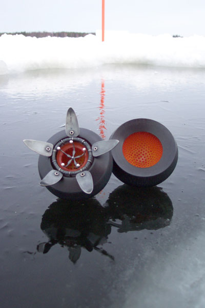 seed pod on a modern sculpture of a star