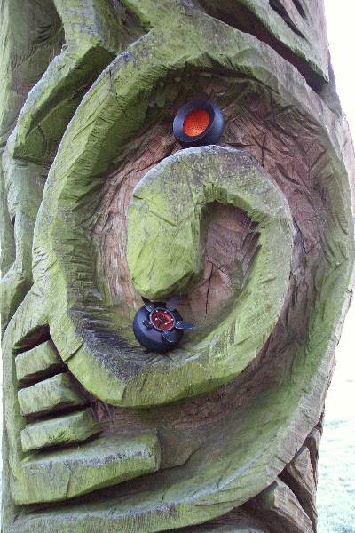 seed pod on the head of a bronze donkey