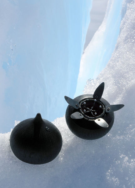 seed pod on a modern sculpture of a star