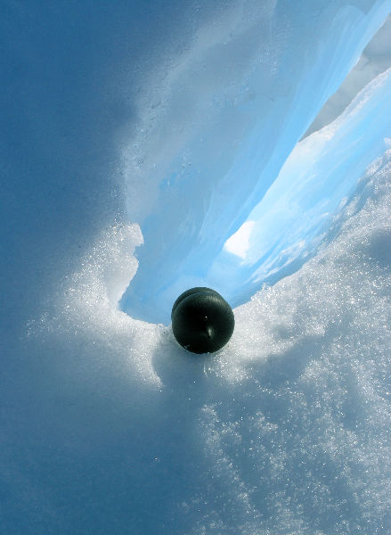 seed pod on a modern sculpture of a star