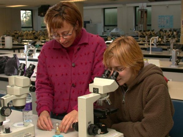 An artist looking through a microscope